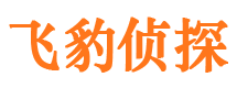 米林侦探